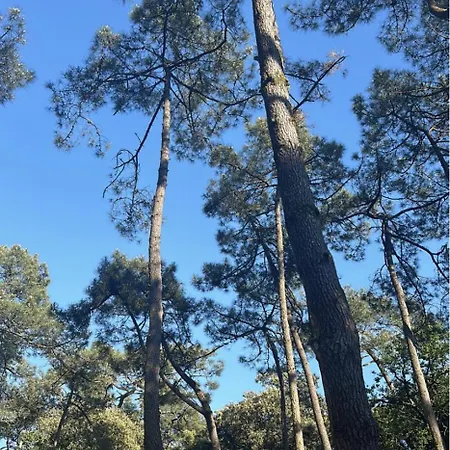 Mobil Les Dunes - Les Conches Kamp alanı Longeville-sur-Mer